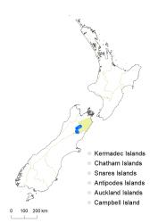 Veronica salicornioides distribution map based on databased records at AK, CHR & WELT.
 Image: K.Boardman © Landcare Research 2022 CC-BY 4.0